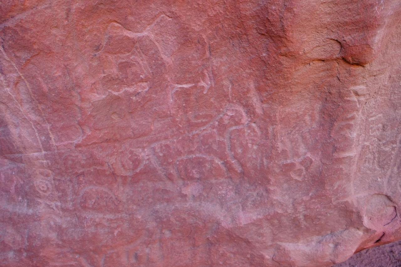 Nature Star Camp Hotel Wadi Rum Exterior photo